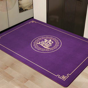 九紫离火运风水入户门地垫进门口家用紫色防滑蹭脚垫招财开运地毯