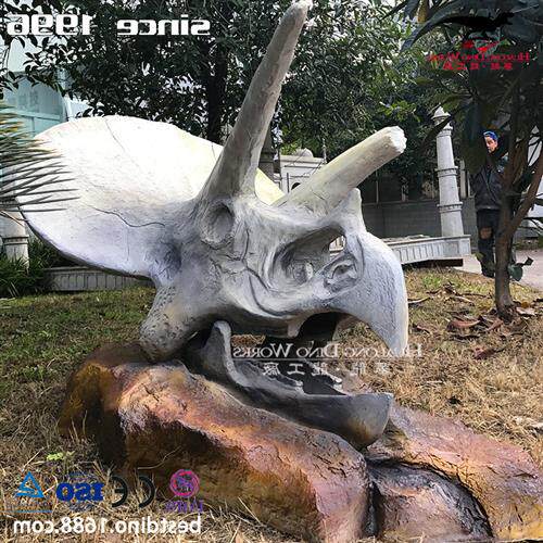 仿真恐龙玻璃钢模型制作工厂三角龙头骨化石骨架科普展览收藏