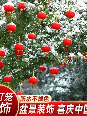 农村结婚院子装饰挂树上大红灯笼户外防水塑纸小灯笼新年春节装饰