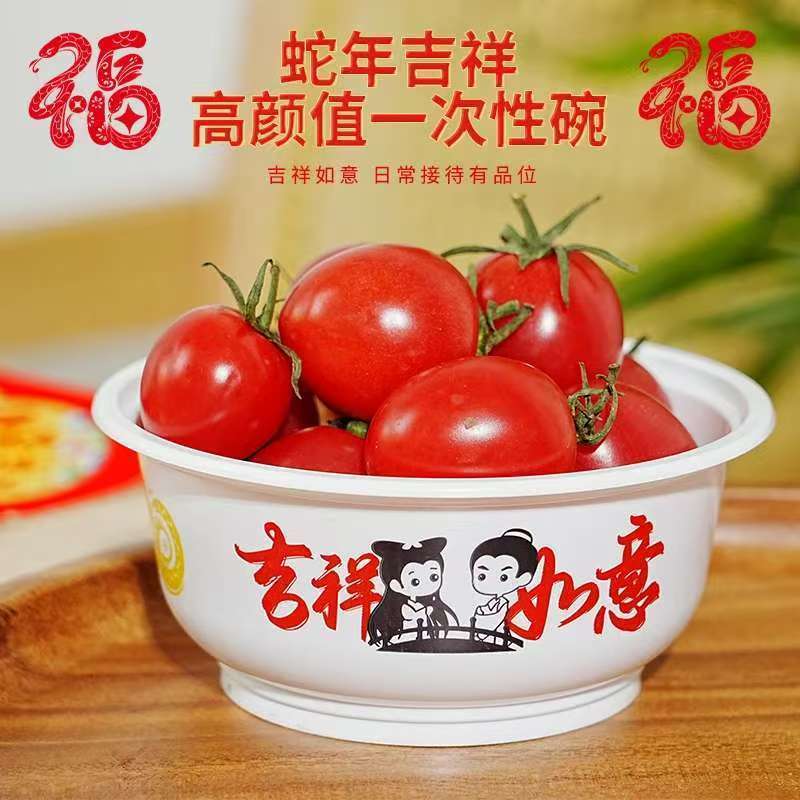 一次性碗食品级加厚耐高温