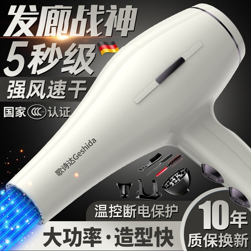 发廊专用电吹风机家用负离子护发大风力发型师大功率冷热分筒速干