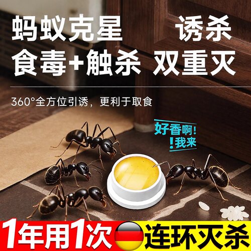 蚂蚁药家用强效室内专用第非无毒一名一窝端除灭驱红蚁药杀虫饵剂
