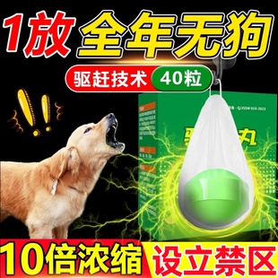 驱狗专用药长效室外专用药喷剂神器强力防止野狗乱拉屎尿汽车轮胎