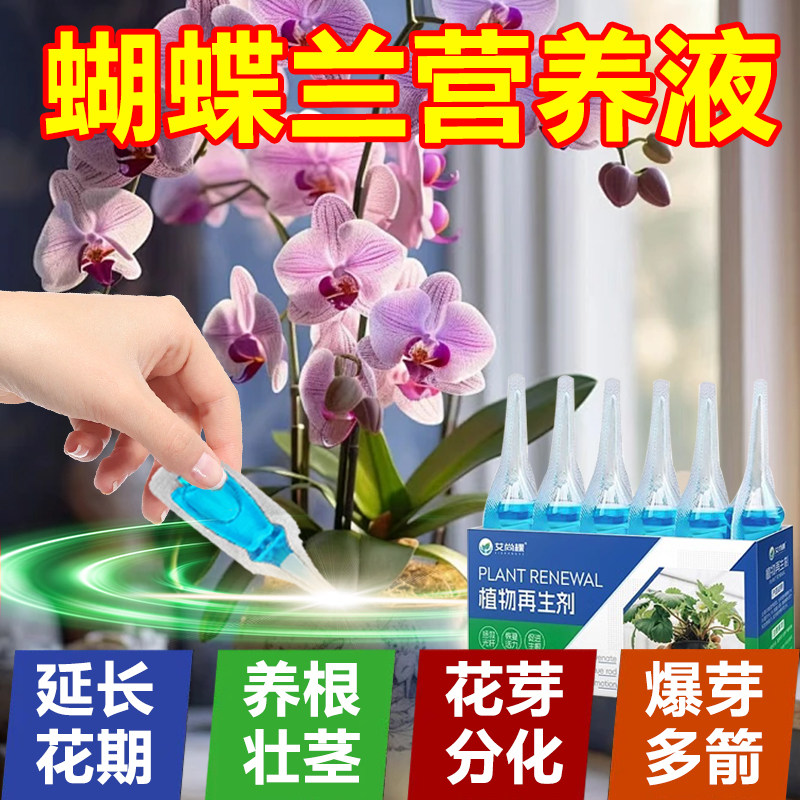 蝴蝶兰营养液兰花专用肥促花箭开花多剑王兰灵王肥料水溶肥通用型