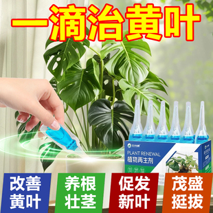 龟背竹营养液免稀释专治防黄叶卷叶肥锈斑病水培专用肥植物再生剂