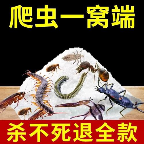 潮虫药家用全窝端杀虫粉剂西瓜虫鼠妇蜈蚣家用室内无味灭除虫神器