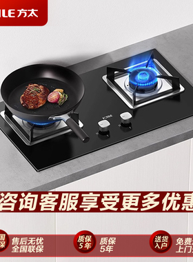 燃气灶煤气灶双灶家用炉灶台天燃气液化气TH31B