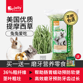 兔子粮草晒干提摩西草干草宠物兔子饲料兔兔粮龙猫豚鼠荷兰猪粮食