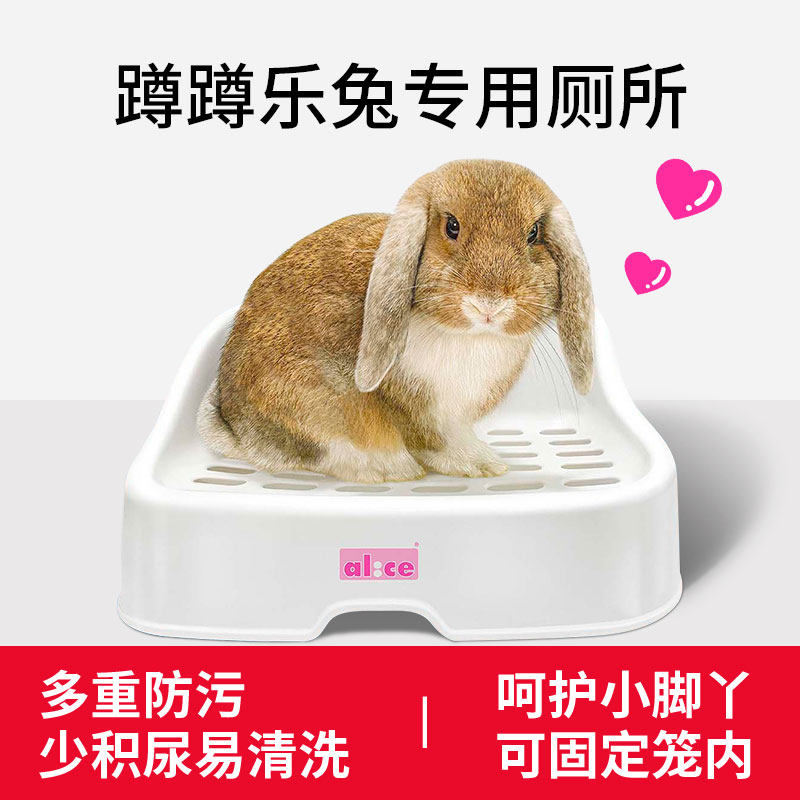 兔厕所兔子用品兔子专用厕所大号荷兰猪豚鼠龙猫厕所尿盆便盆,宠物/宠物食品及用品,兔兔厕所,淘宝优惠券,粉丝福利购,淘宝优惠卷