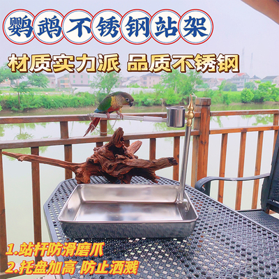 鹦鹉桌面站架伯劳玄凤虎皮牡丹小太站棍不锈钢落地手养训练鸟架子