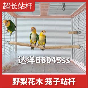 鹦鹉超长站杆野梨花木站架鸟笼凯克和尚中型鹦鹉手工diy不锈钢