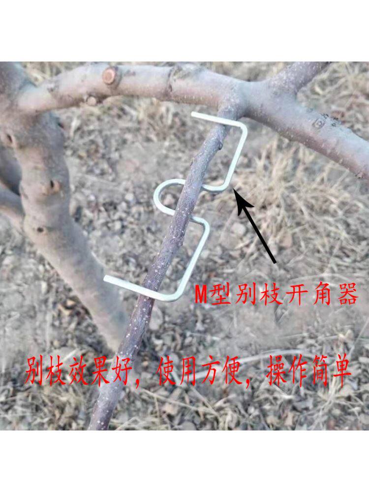 果树拉枝定型神器苹果樱桃李子树弯别开角压枝器枇杷盆景柑桔m钩