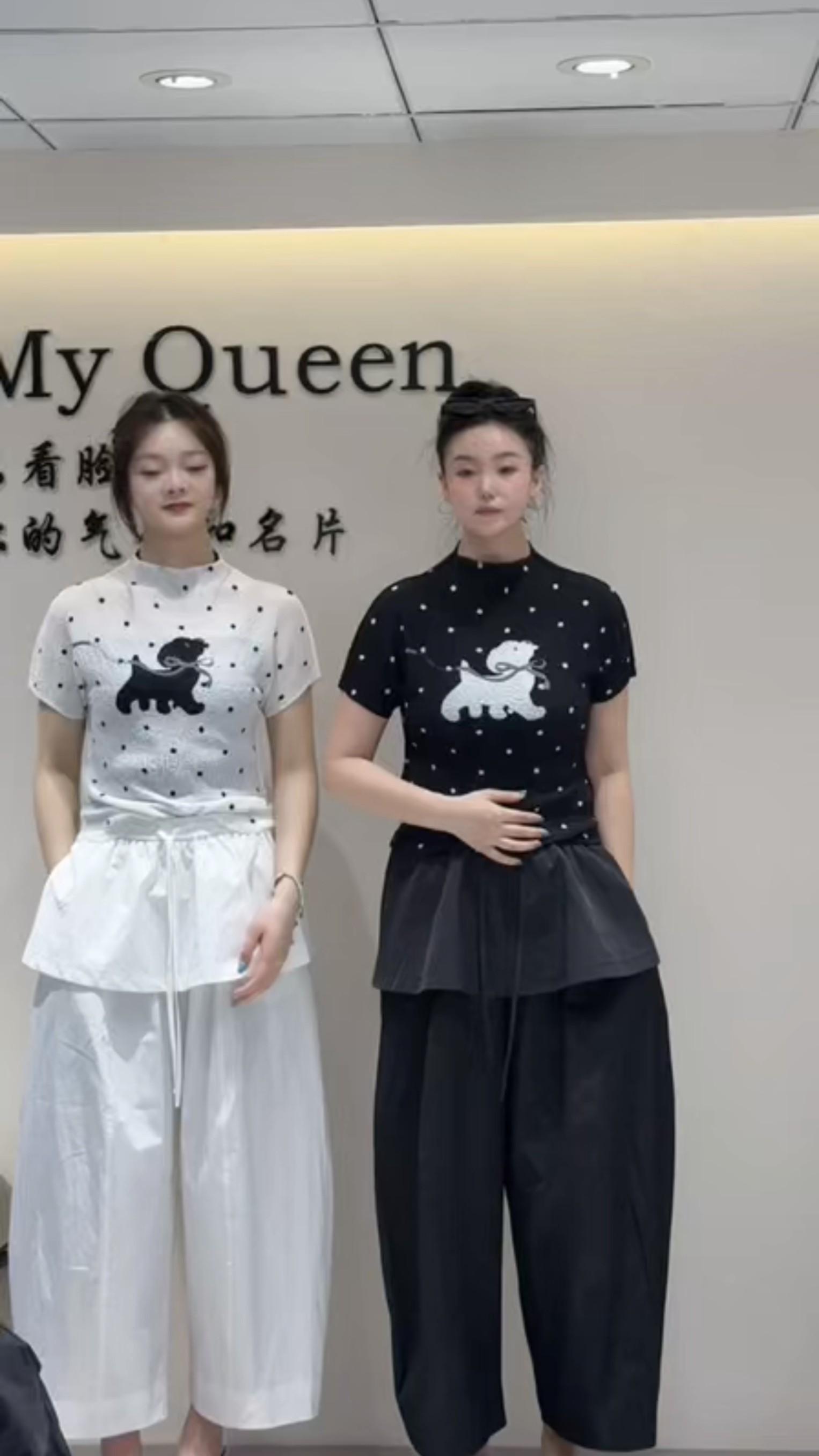 韩系波点小狗立领短袖t恤女夏季新款修身显瘦设计感小众网纱上衣