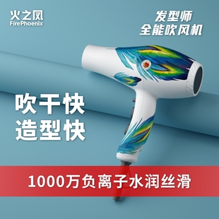 火之凤吹风机发型师专用理发店发用速干负离子护发吹风筒8960廊家