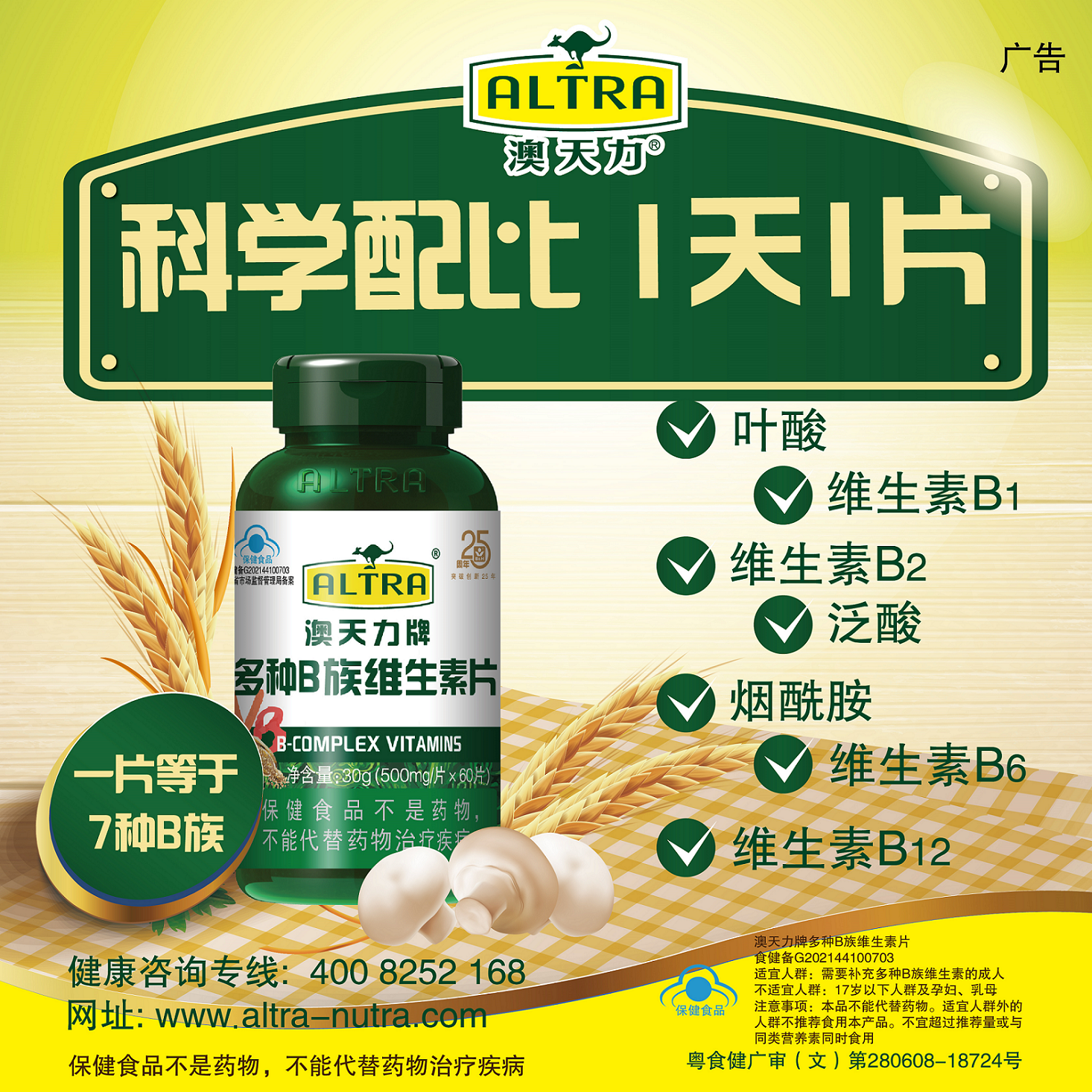 澳天力60片b1b1b6成人多种维生素