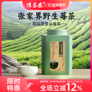 顶茶农 芽尖莓茶张家界特级芽尖嫩芽尖霉茶正宗藤茶显齿蛇葡萄叶