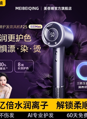 2025新款水离子护发高速电吹风机