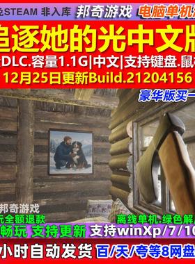 追逐她的光Chasing Her Light 中文版全DLC免steam电脑PC单机游戏