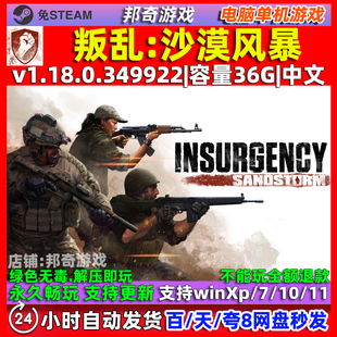 叛乱沙漠风暴 免steam 中文版 电脑 PC单机游戏 全DLC