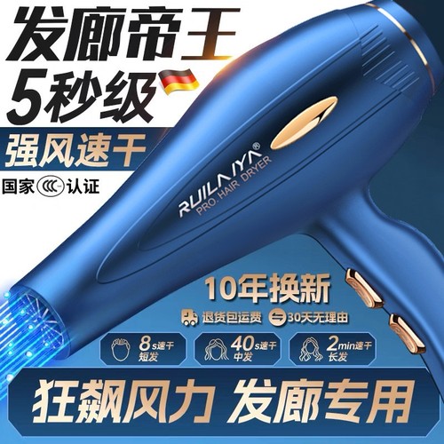 德国电吹风机理发店大功率家用大