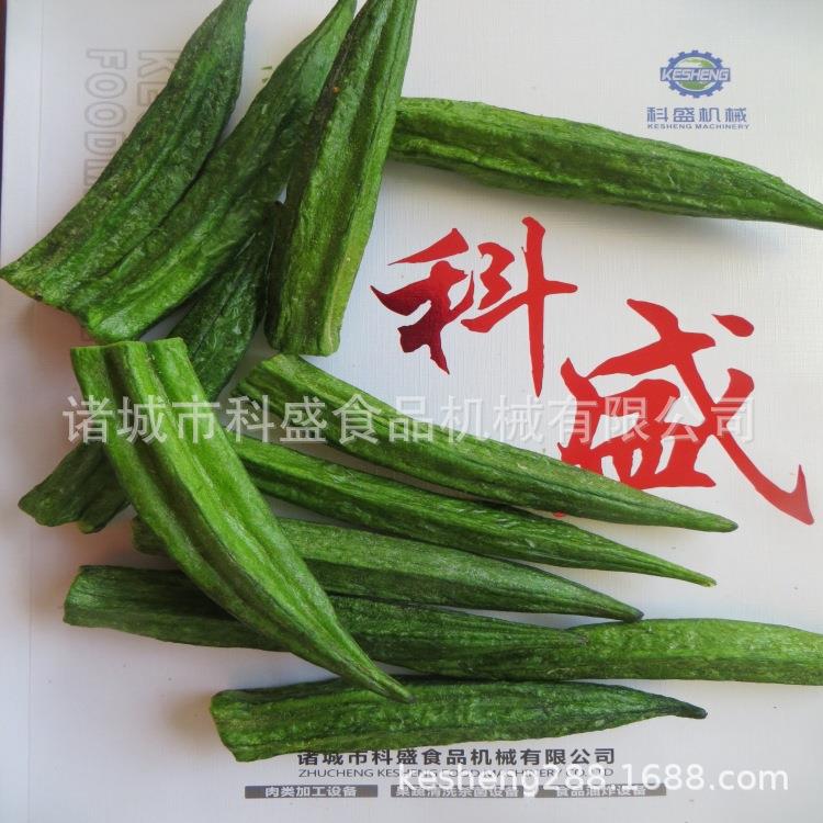 厂家直销真空低温油炸机膨化机河北香脆枣果蔬加工设备电加热