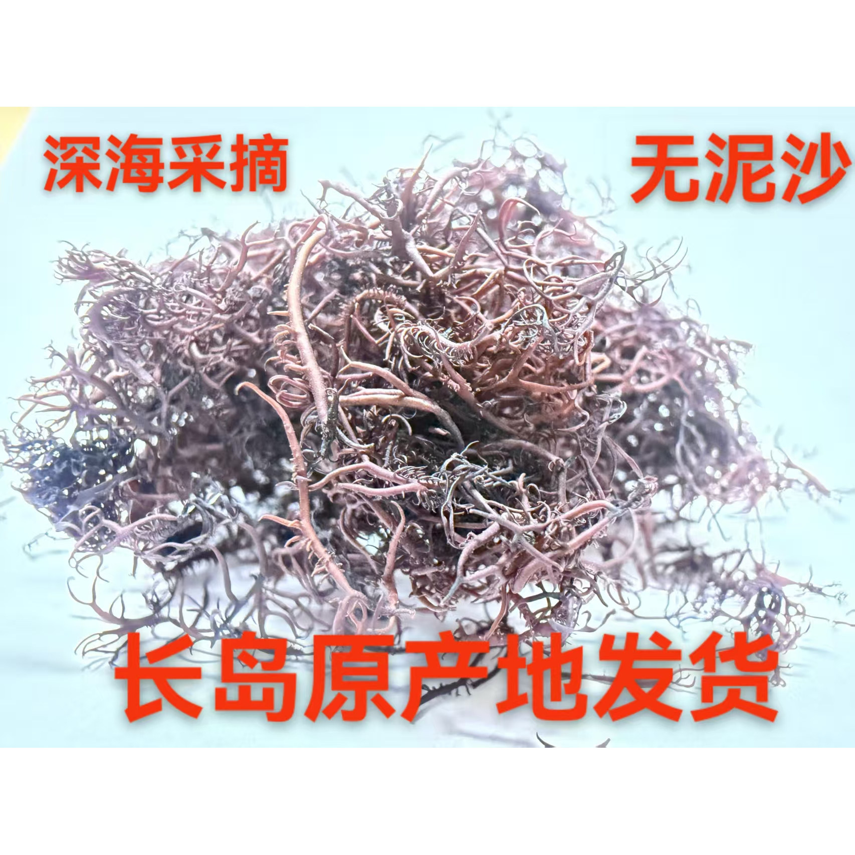 长岛牛毛菜新鲜晾晒鲜嫩无泥沙