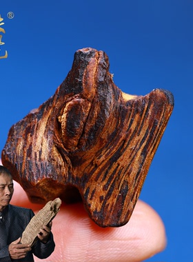 越南惠安沉水级虎斑纹棋楠老料沉香原料重约5克保真文玩沉香吊坠