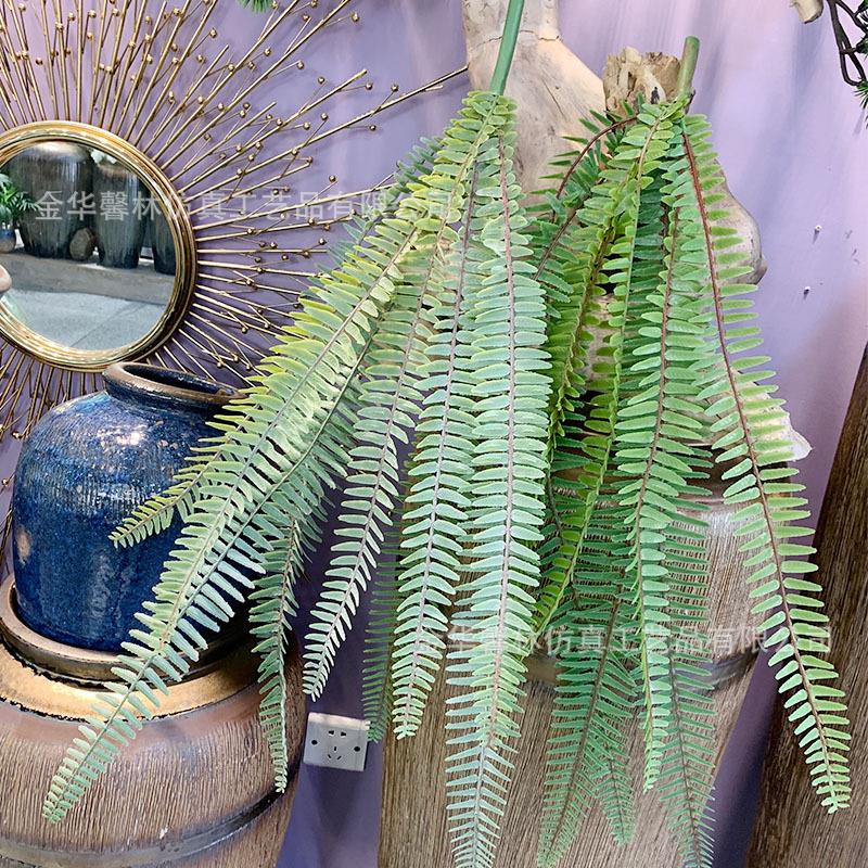 草9蕨xl叶大波斯植物墙配材山壁挂真羊齿蕨藤条橱窗吊藤装饰仿肾