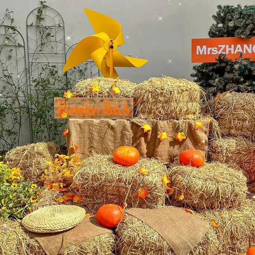 草垛野稻草堆摄影道具干稻草堆