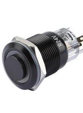 TP91921G124RA 按钮开关 圆形金属按钮开关 开孔尺寸19MM系列 防