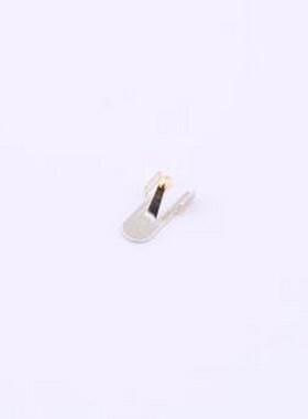 2199248-6 天线弹片 TE Connectivity(泰科电子) 弹片 3.9mmx2.4m