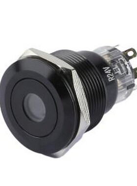 TP92206P224RA 按钮开关 圆形金属按钮开关 开孔尺寸22MM系列 防