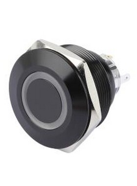 TP93009P224RA 按钮开关 圆形金属按钮开关 开孔尺寸30MM系列 防