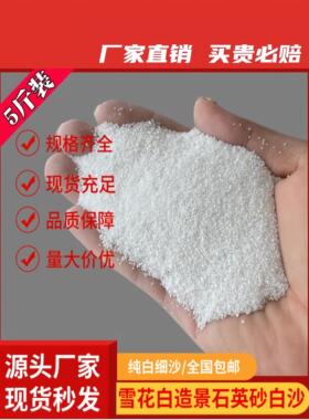 鱼缸过滤酒店沙白石英砂白砂造景细沙装饰儿童丙烯画白色烟灰缸水