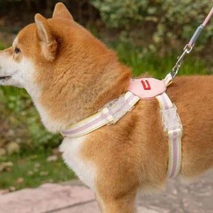 Small Dog Harness Puppy Harness And Traction Rope