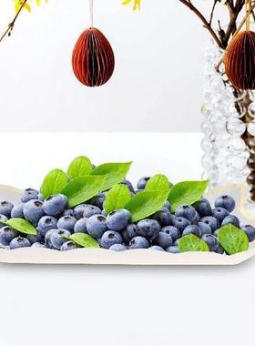 4 Pcs Party Platter Paper Lace Cake Pan Set Plates Serving