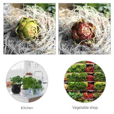 2 Pcs Artichoke Artificial Flower Faux Artichokes for