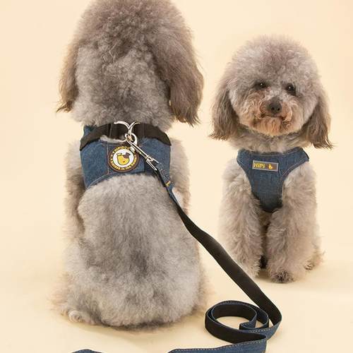 pet walking leash, dog chain, cat teddy, pet chest harness