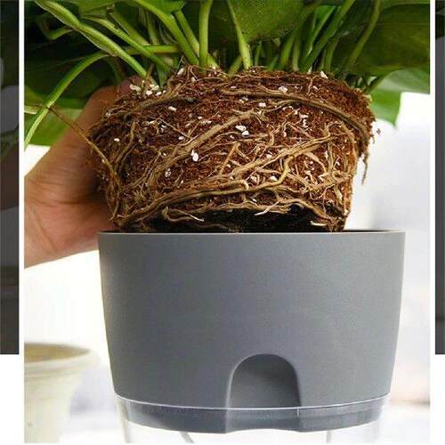 Flower Pot Self Watering Transparent Double Layer Plastic