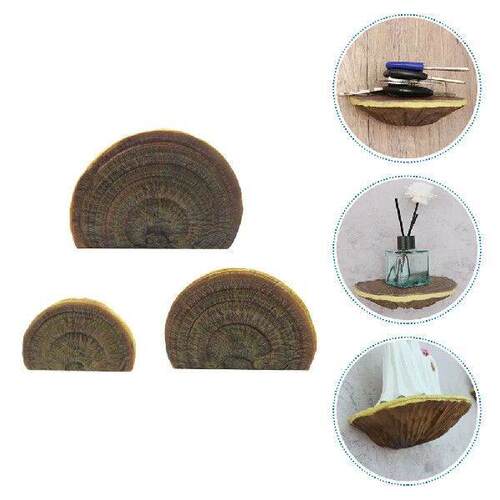 Simulated Ganoderma Resin Wall Shelf Lightweight Compact