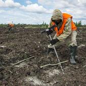 Handle Steel Sampler Soil Rod Stainless Probe Ground With