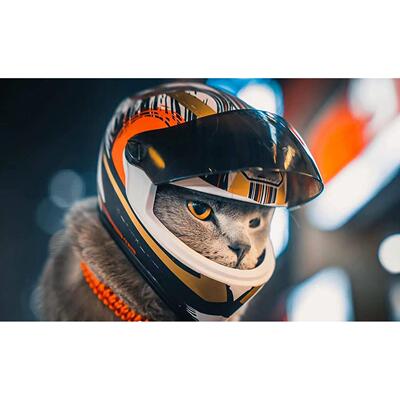 Pet Motorcycle Helmet,Full Face Motorcycle Helmet Outdoor Mo