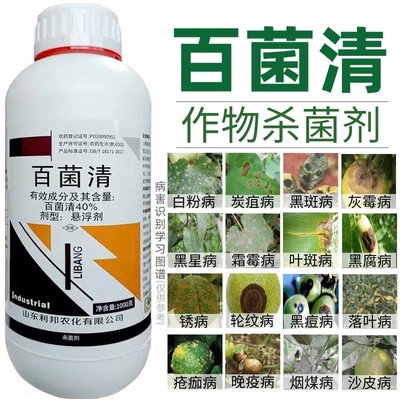 40%百菌清果树蔬菜花卉杀菌剂植物锈病炭疽病白粉叶斑霜霉病农药