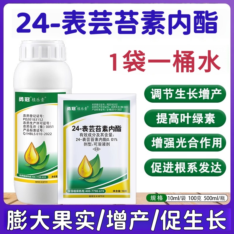 24表芸苔素内脂植物生长调节剂