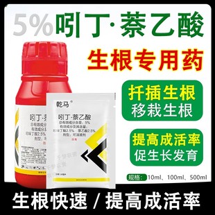 吲哚萘乙酸5%吲哚丁酸果树木花卉移栽扦插促生根壮根专用生根液粉