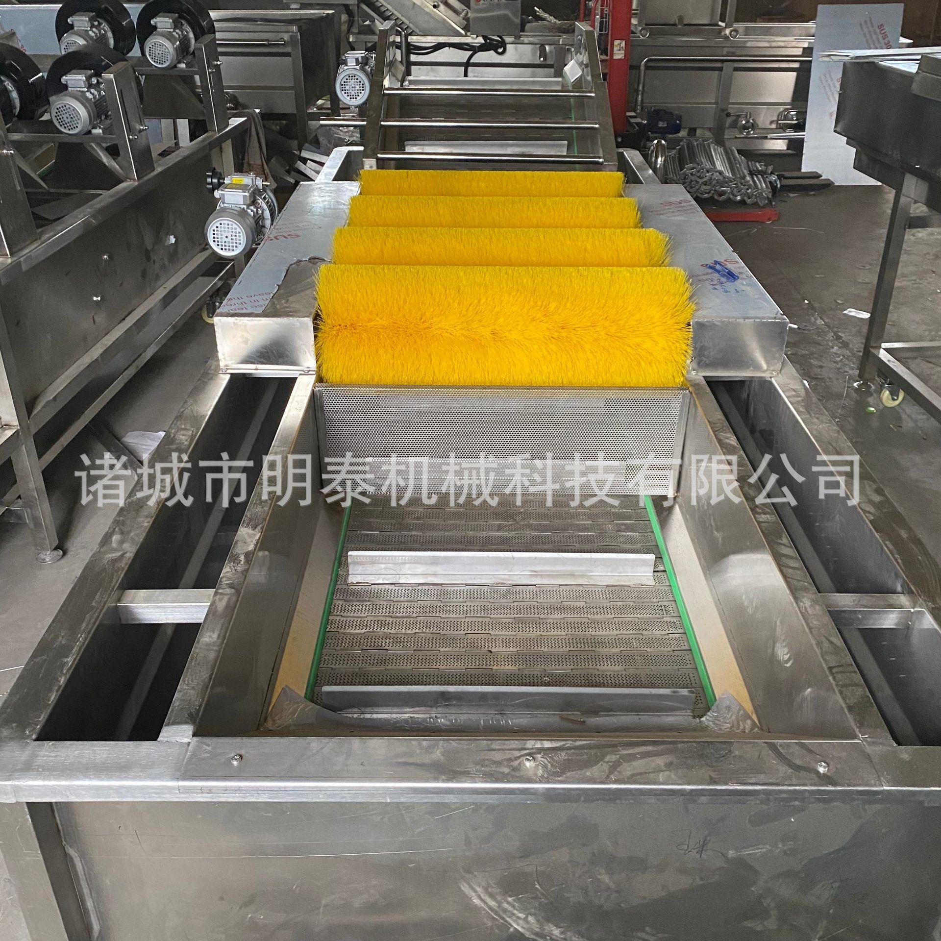 残龙HGJ虾超声波清洗机 小蔬菜韭臭氧去农菜清洗设备 橙子鼓泡洗