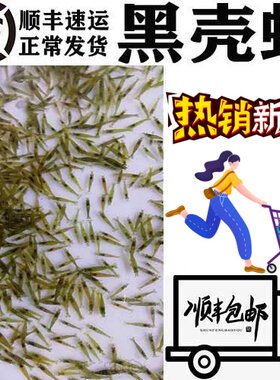 小虾米活虾虾苗鲜活喂乌龟