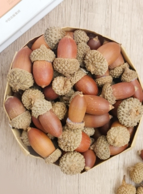 【橡果】天然真橡果籽森系饰品挂饰干花干果实橡果帽拍摄道具背景