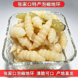 张家口特产泡椒地环300g咸菜地葫芦螺丝菜地牯牛宝塔菜下饭菜即食