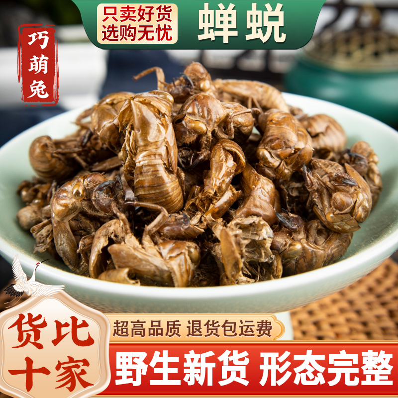 中药材野生蝉蜕250g蝉脱金蝉衣金蝉壳蝉皮蝉壳蝉衣知了皮知了壳粉